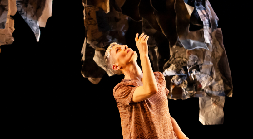 And the Birds Did Sing